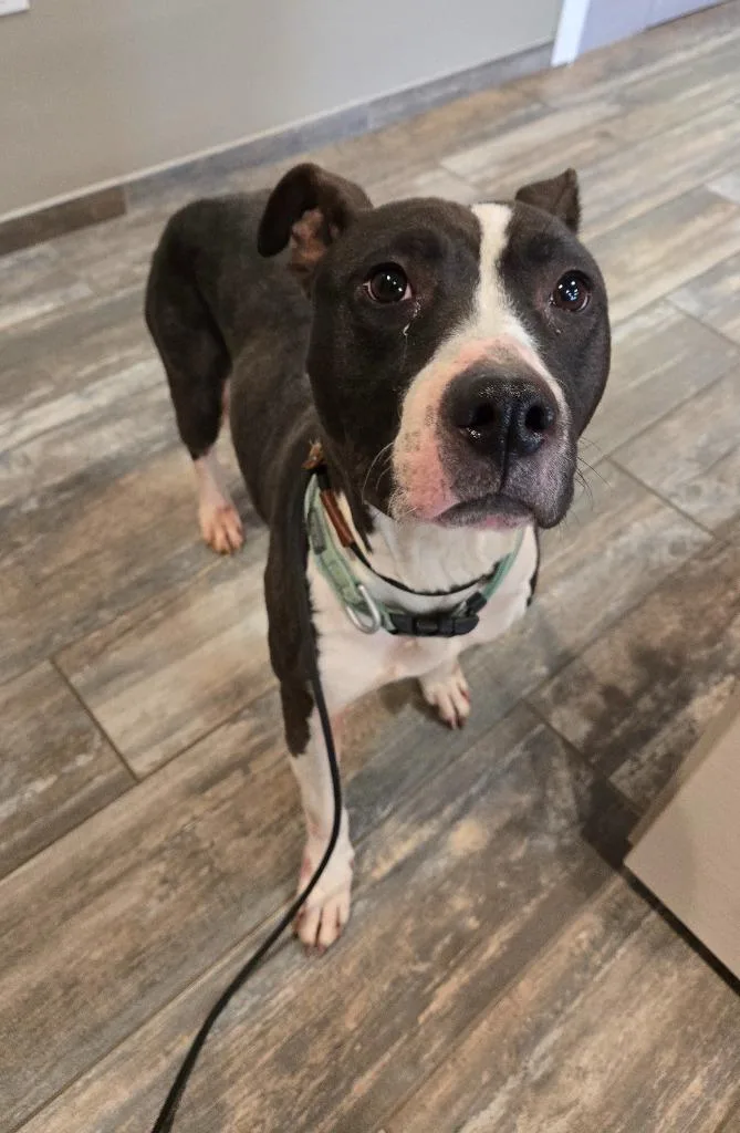 Ginger Yrly thumbnail 2