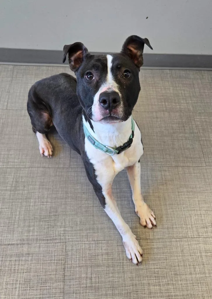 Ginger Yrly thumbnail 6