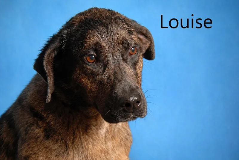 Louise thumbnail 2