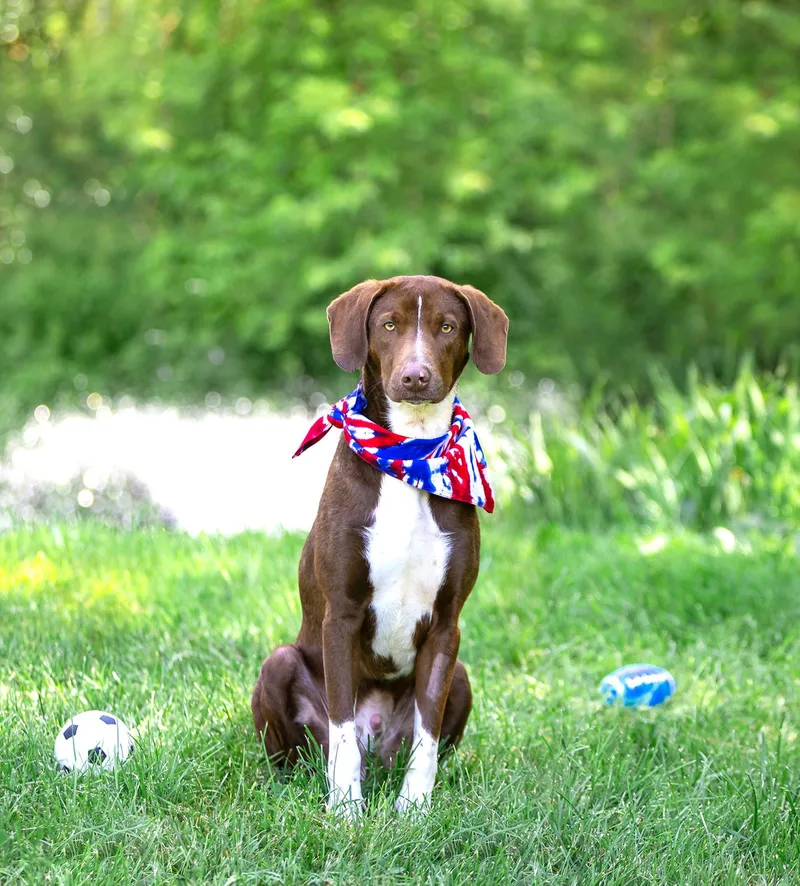 Hershey thumbnail 2