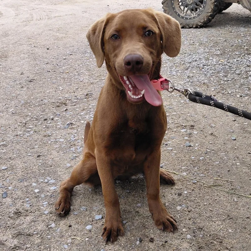 Coco