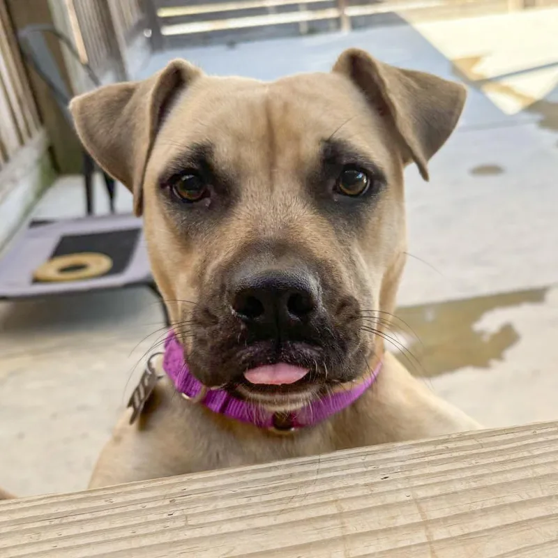 Hm Marsa thumbnail 2