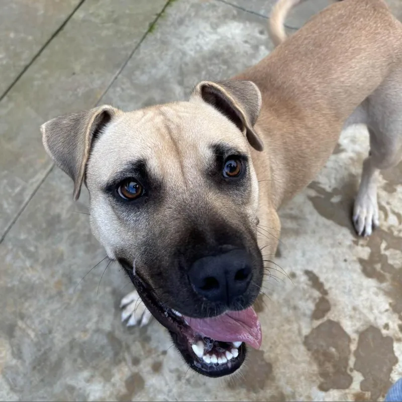 Hm Marsa thumbnail 4