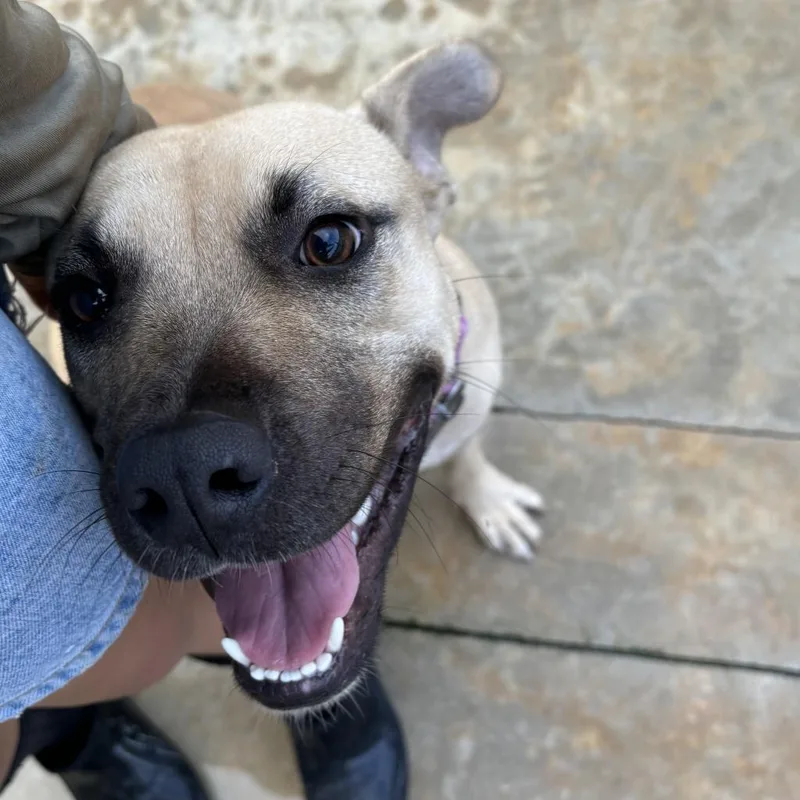 Hm Marsa thumbnail 5