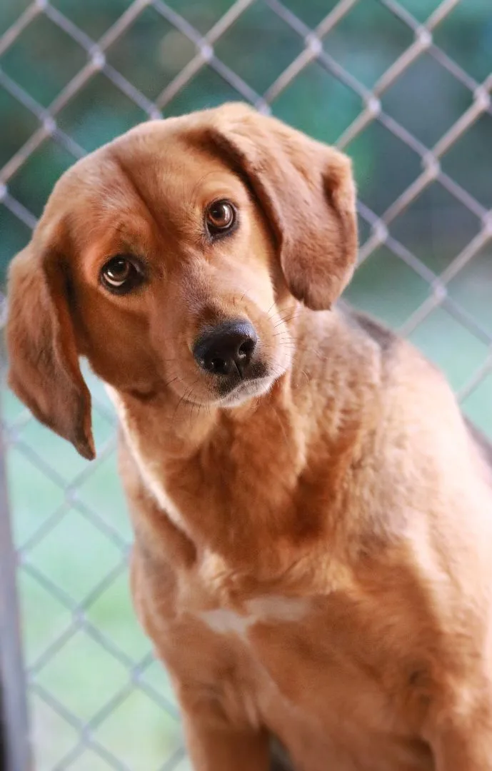 Tisserie thumbnail 3