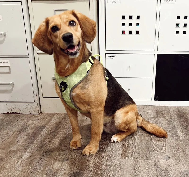 Tisserie thumbnail 5