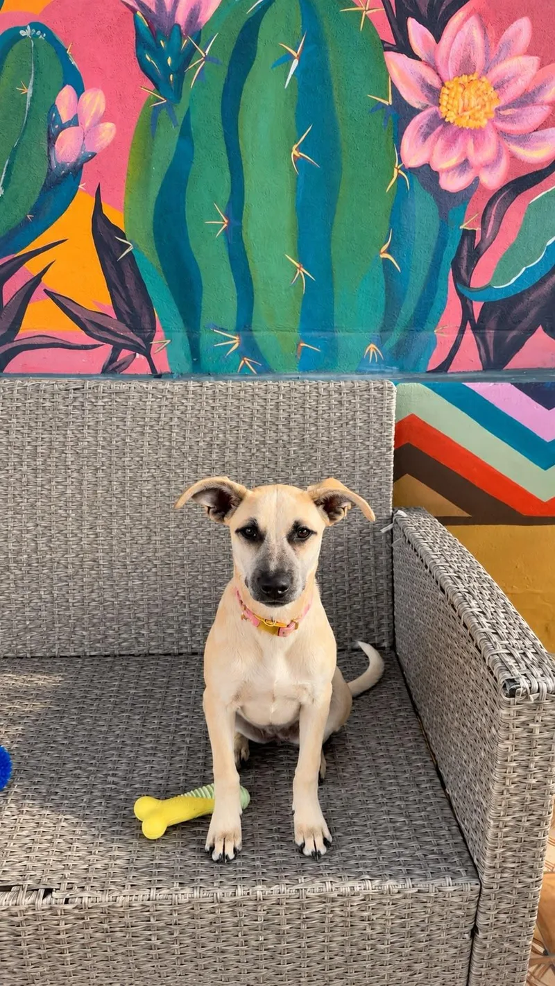 Wink thumbnail 4