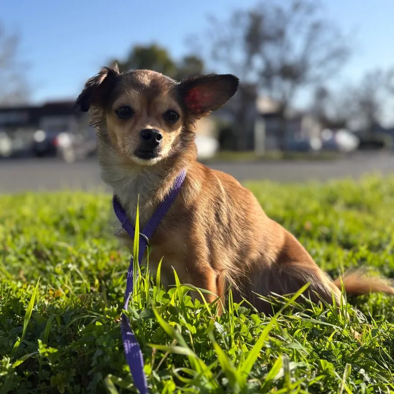 Gabby thumbnail 3