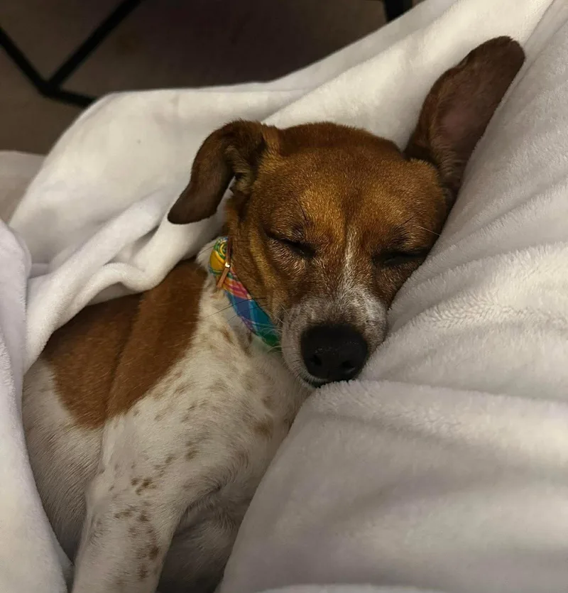 Winnie Cl thumbnail 2