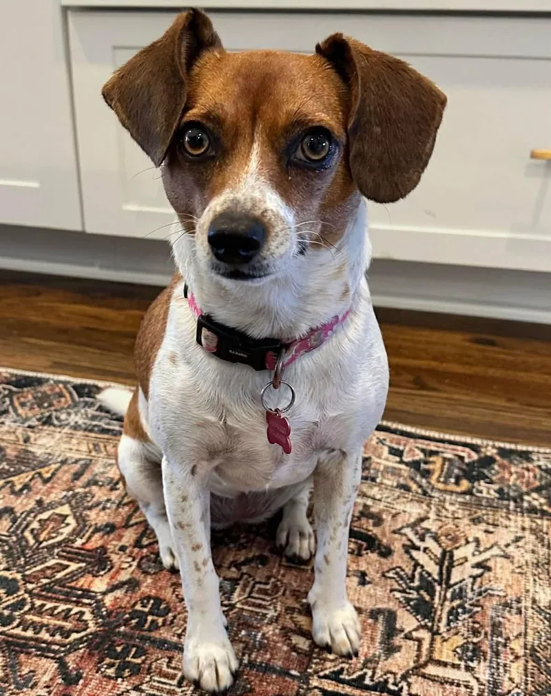 Winnie Cl thumbnail 3