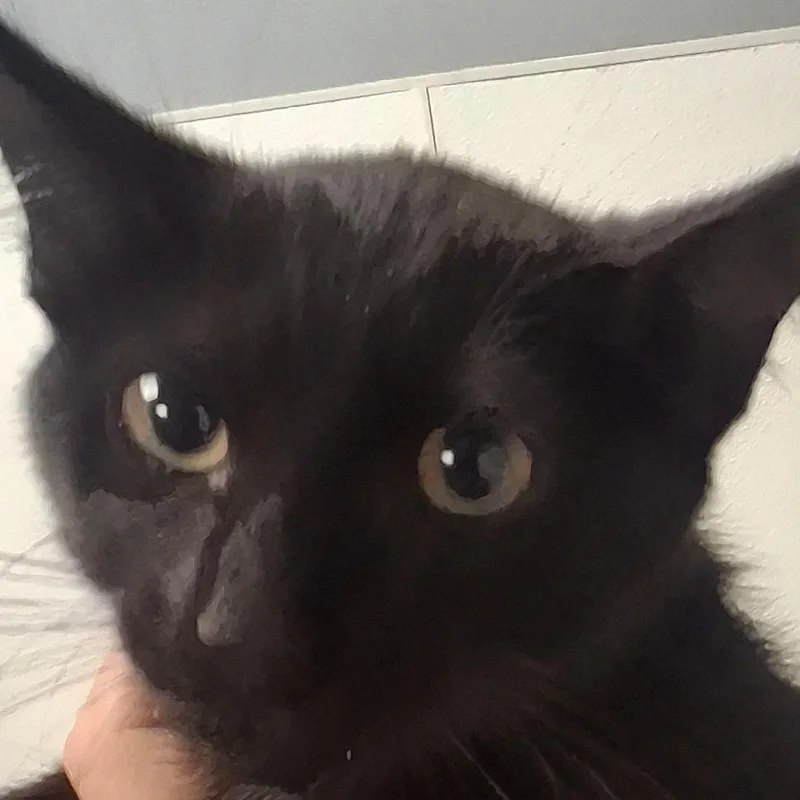 Floyd
