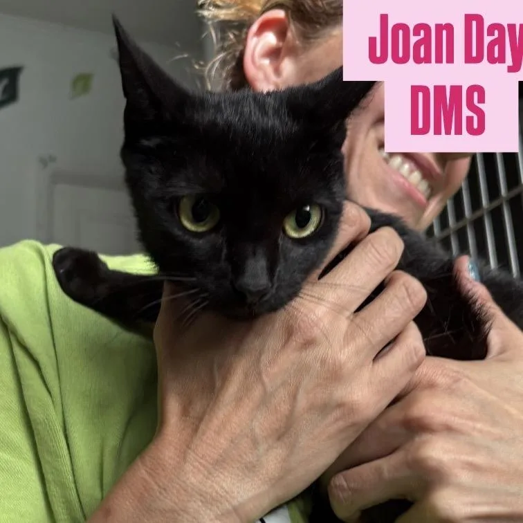Joan Day