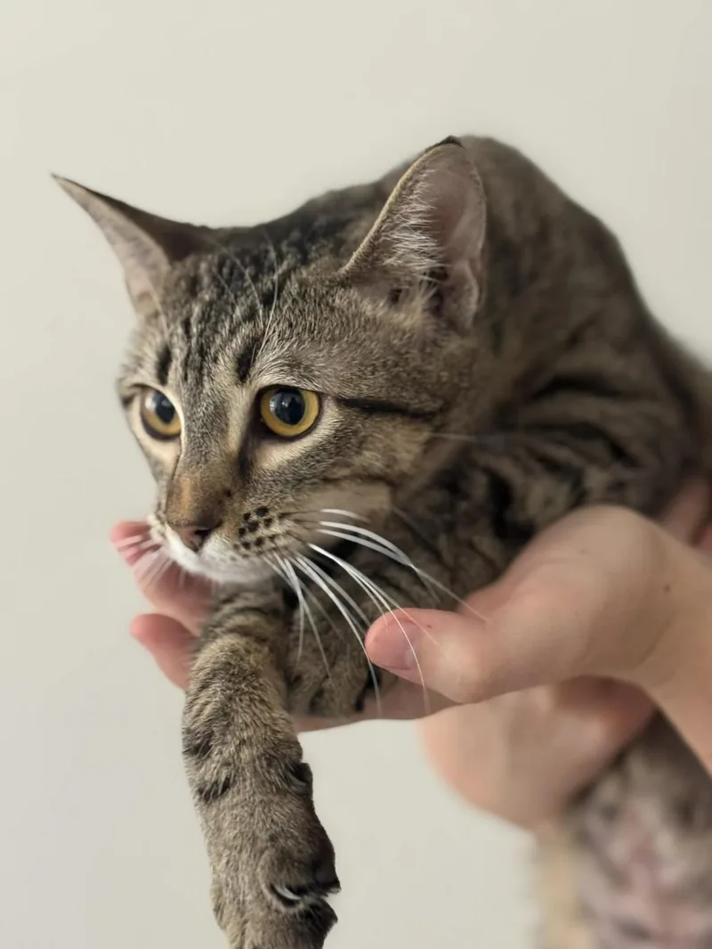Daria thumbnail 4