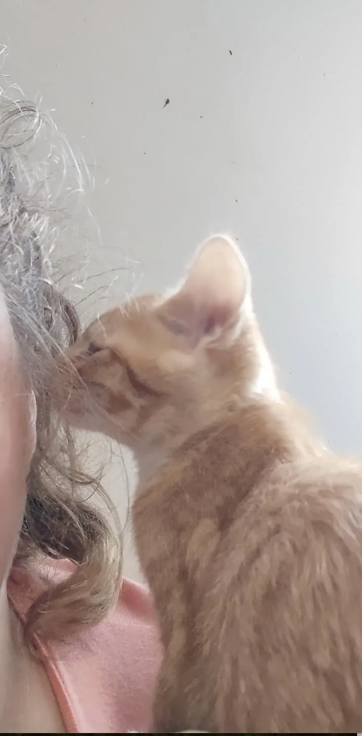 SunkistSunkissed thumbnail 5