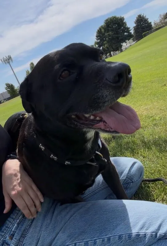 Bruce thumbnail 6