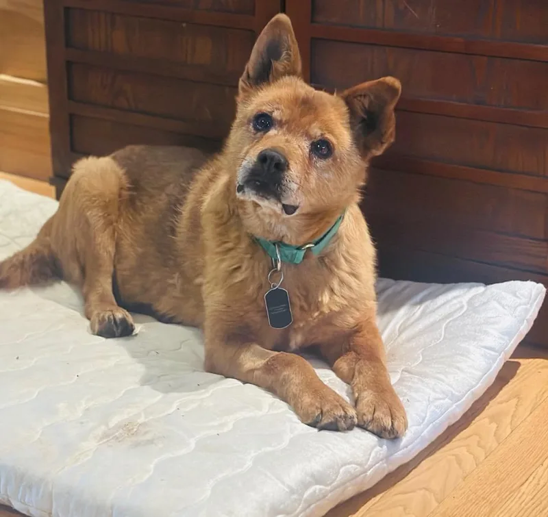 Plimpton P Peeples thumbnail 5