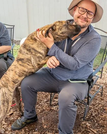 An adult large-sized female Mixed Breed dog named Cassie for adoption in Chamblee, GA
