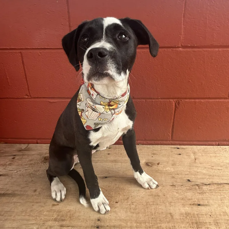 Cry Baby thumbnail 2