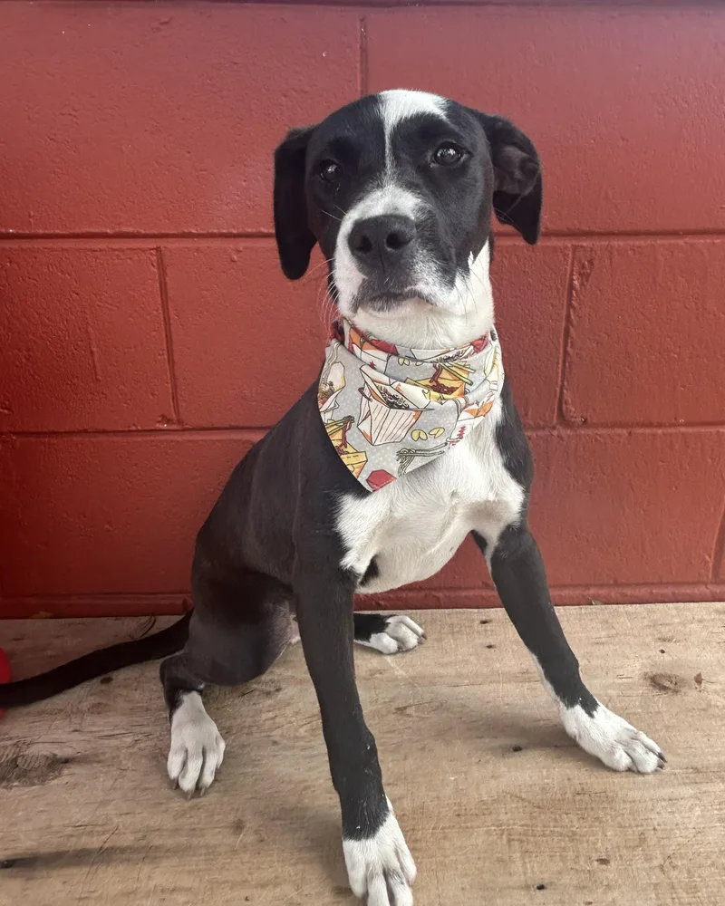 Cry Baby thumbnail 4