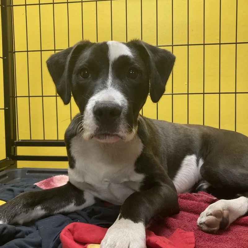 Cry Baby thumbnail 5