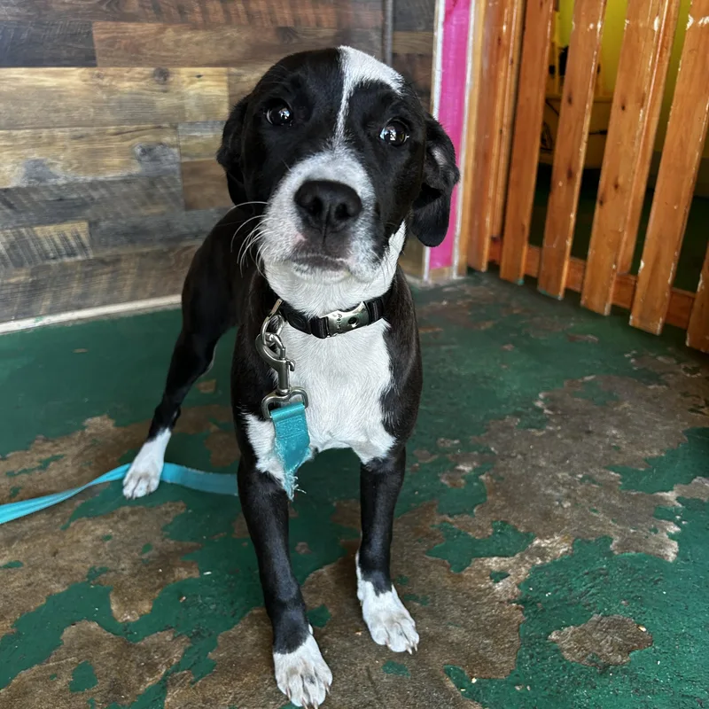 Cry Baby thumbnail 6