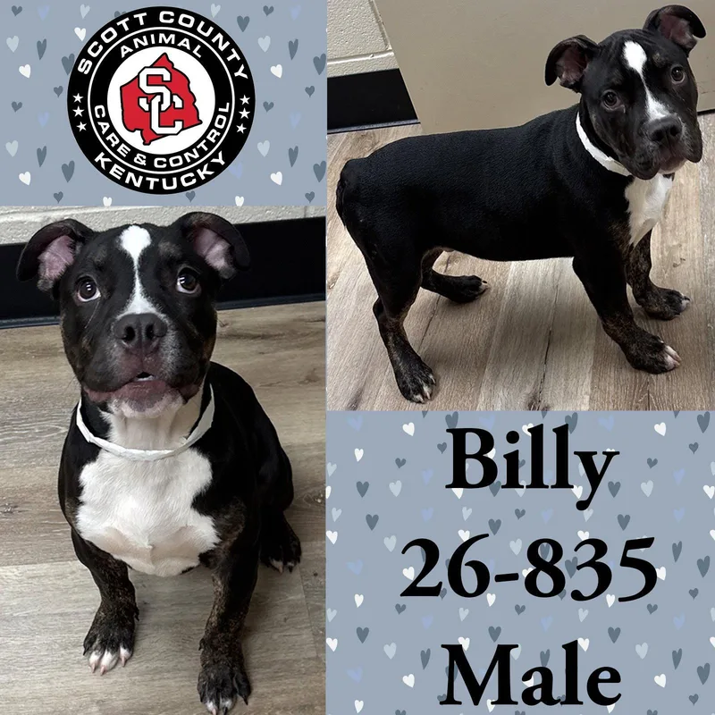 Billy