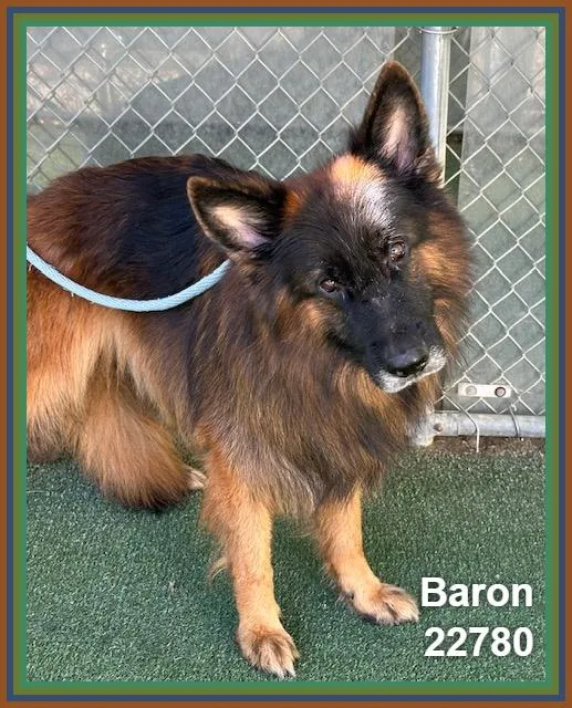 Baron thumbnail 3