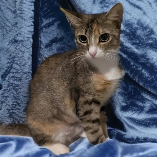 Mary Jane thumbnail 2