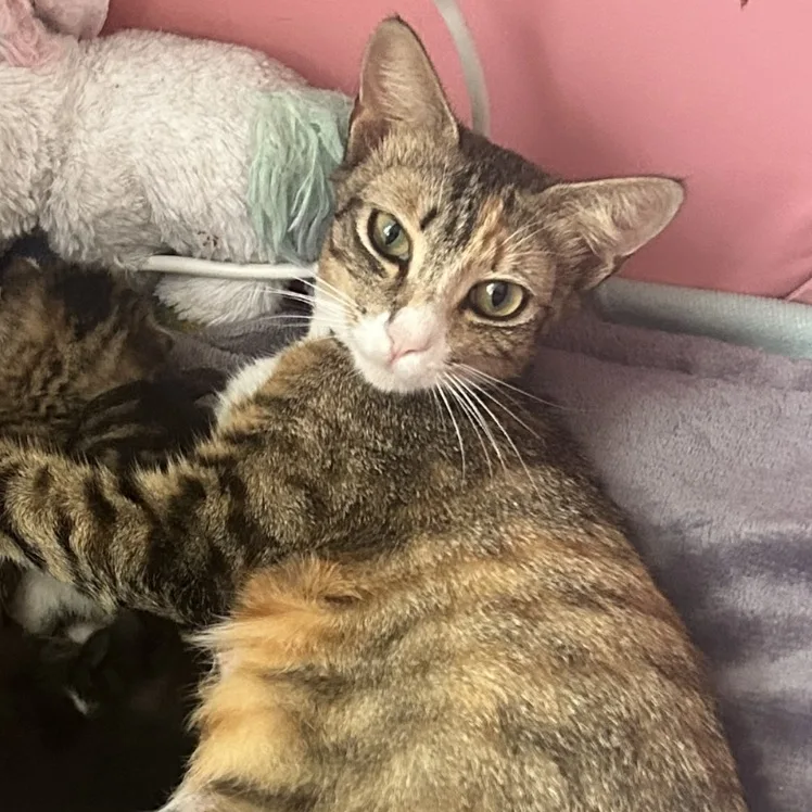 Mary Jane thumbnail 5