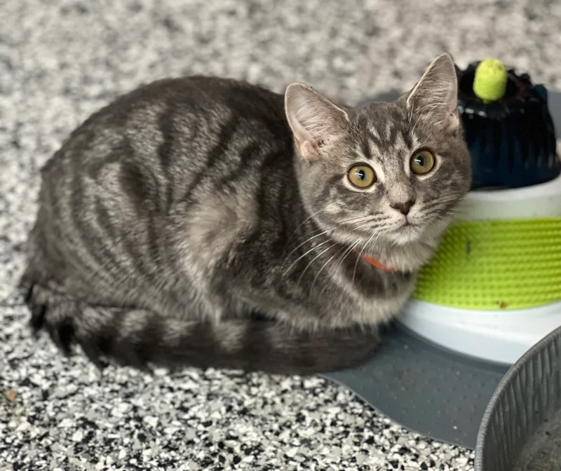 Caroline thumbnail 3