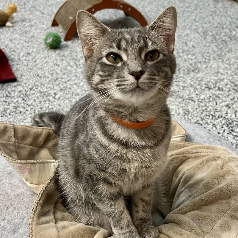 Caroline thumbnail 4