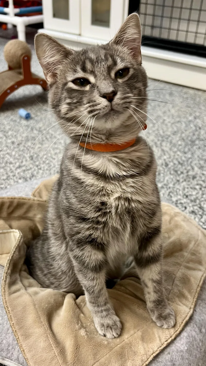 Caroline thumbnail 5