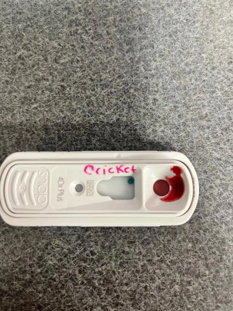 Cricket Stamps thumbnail 2