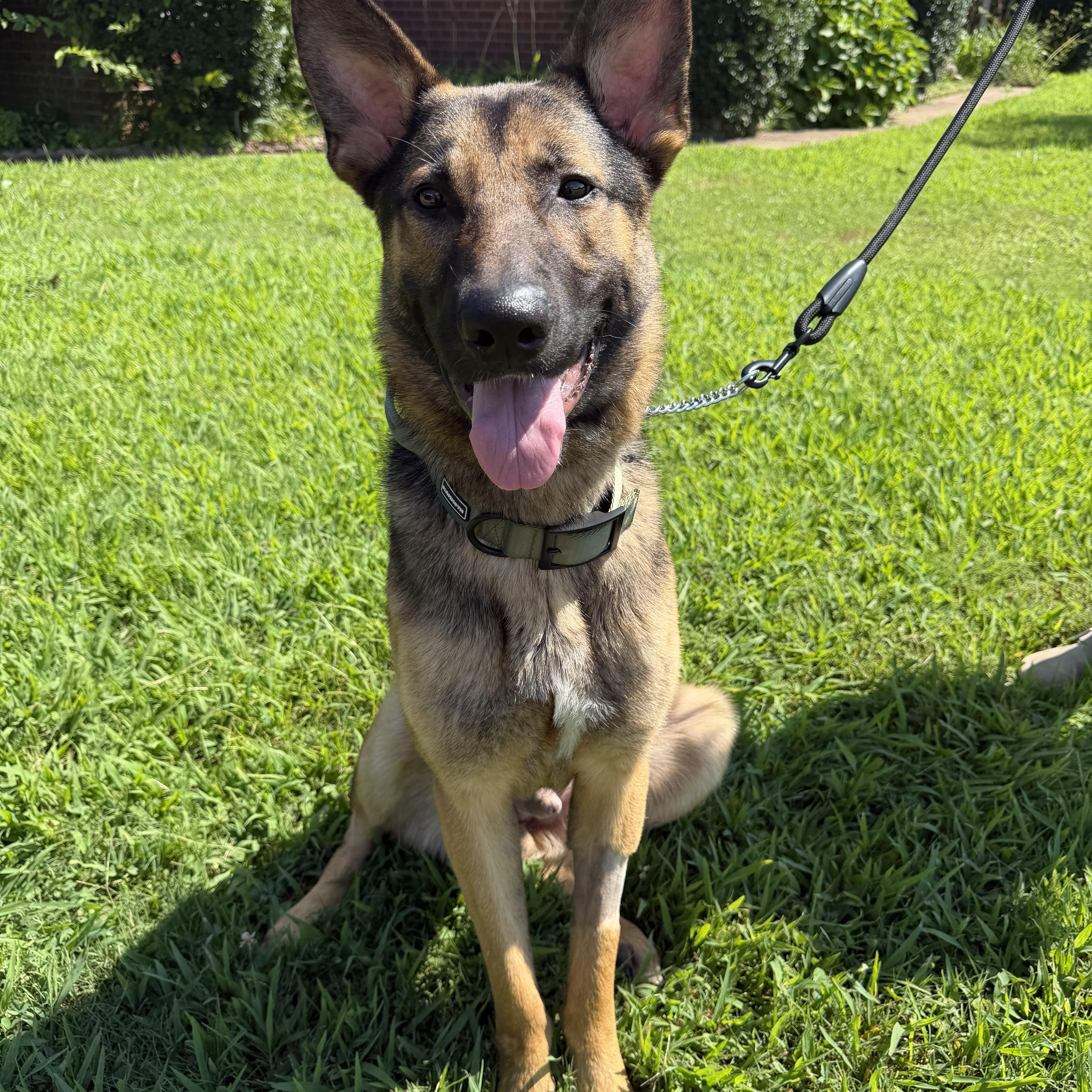 Odin