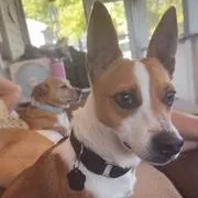 Jake thumbnail 2