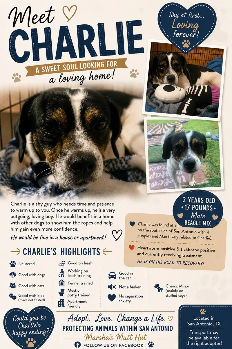 Charlie thumbnail 2
