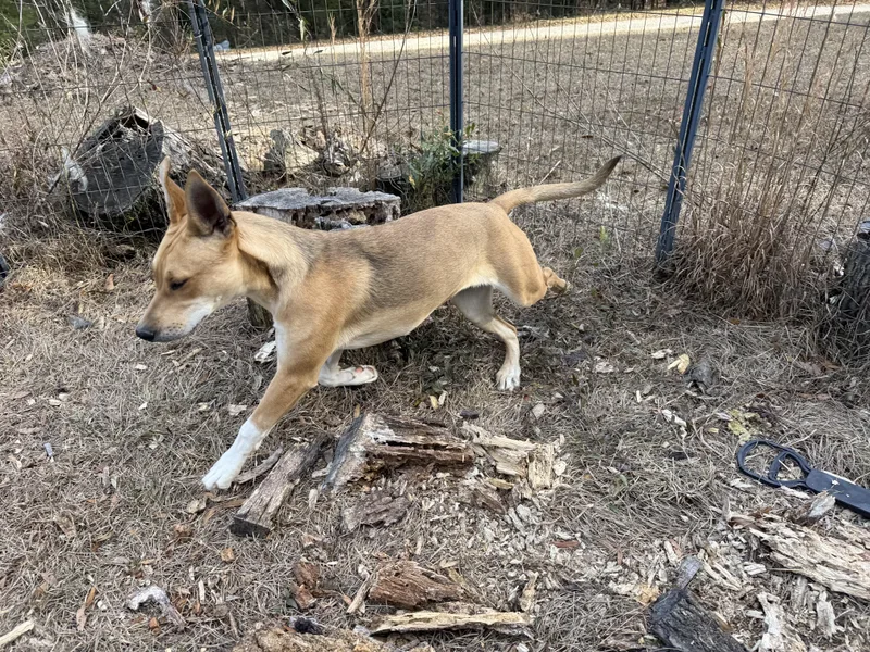 Madam Sideeye Snitchington thumbnail 3