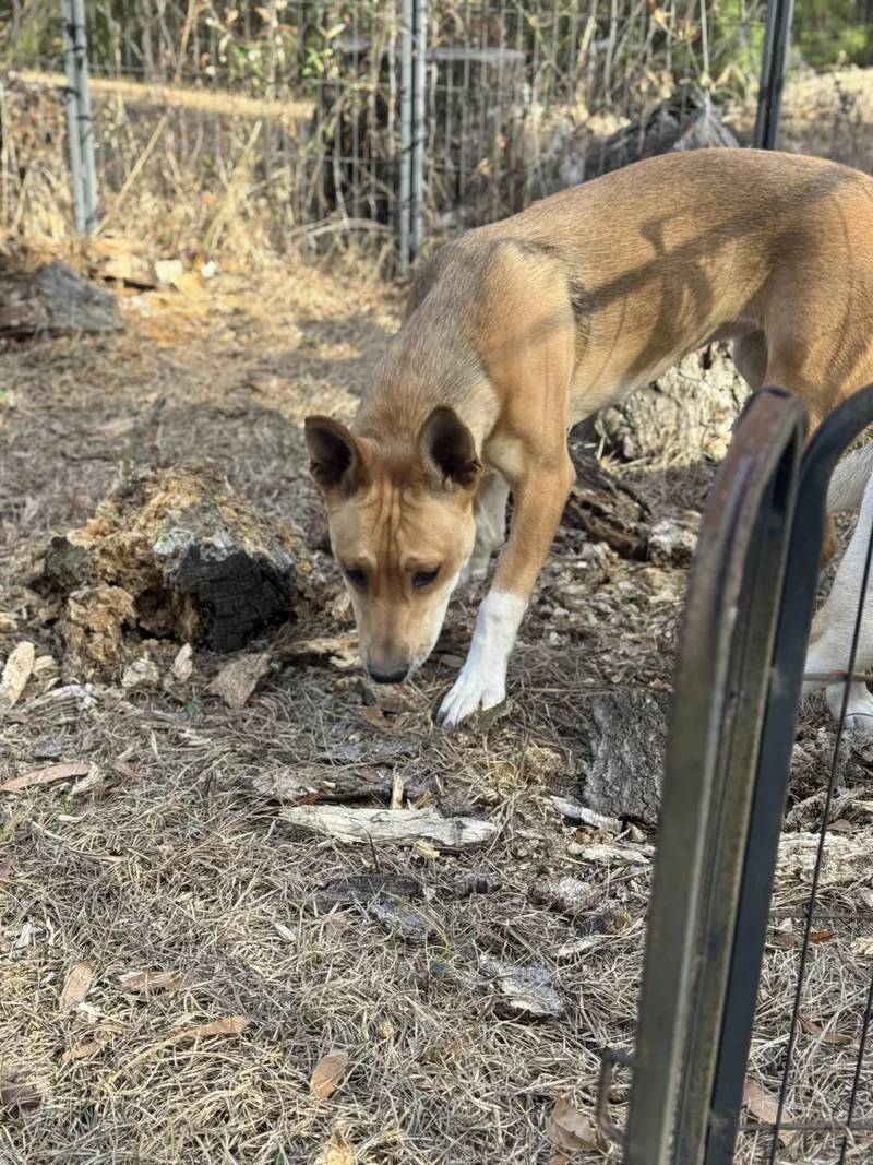 Madam Sideeye Snitchington thumbnail 4