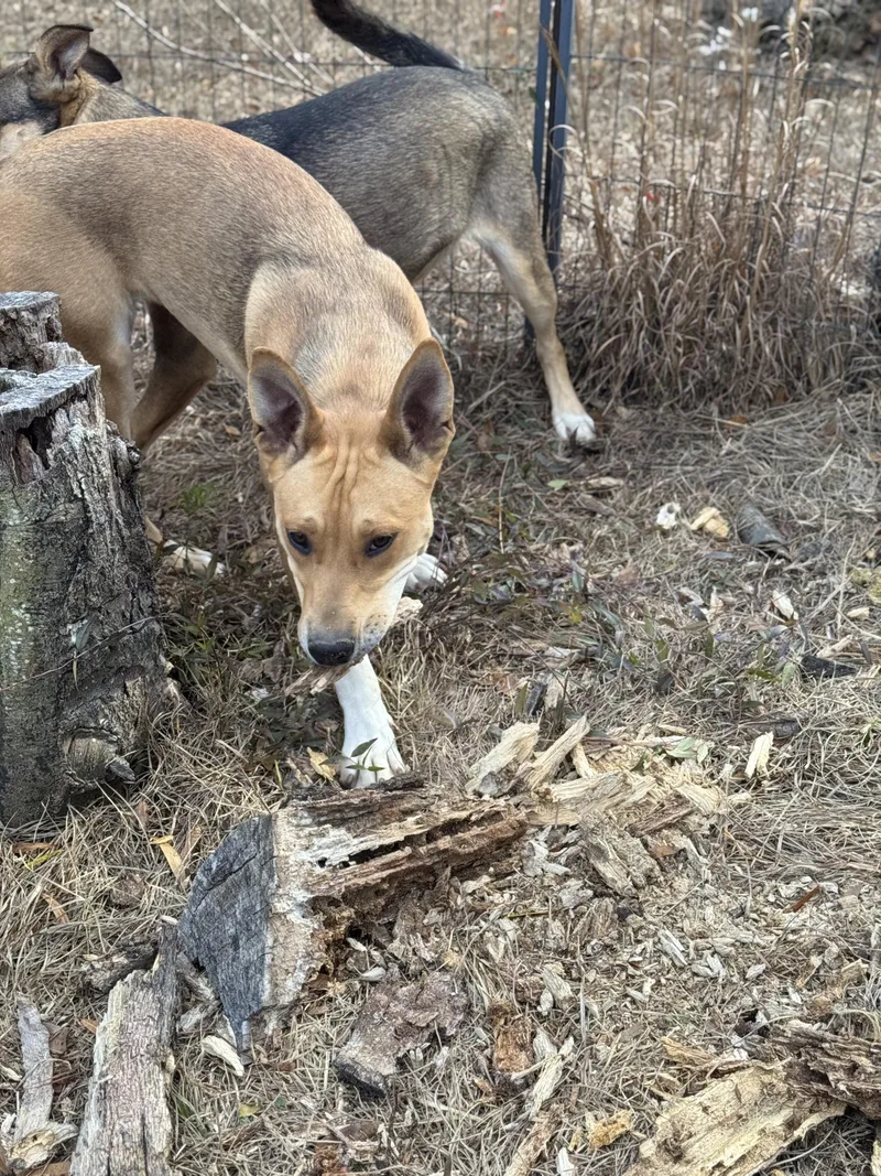 Madam Sideeye Snitchington thumbnail 5