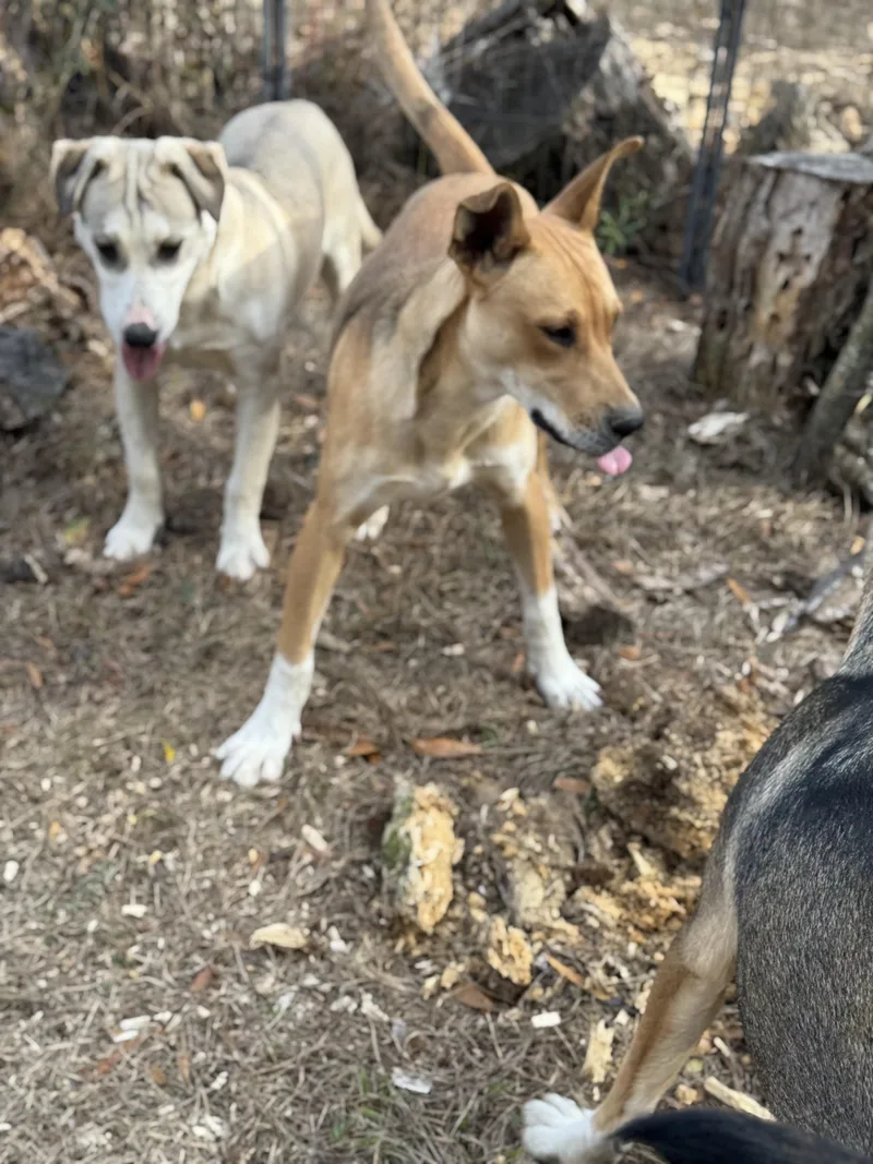 Madam Sideeye Snitchington thumbnail 6