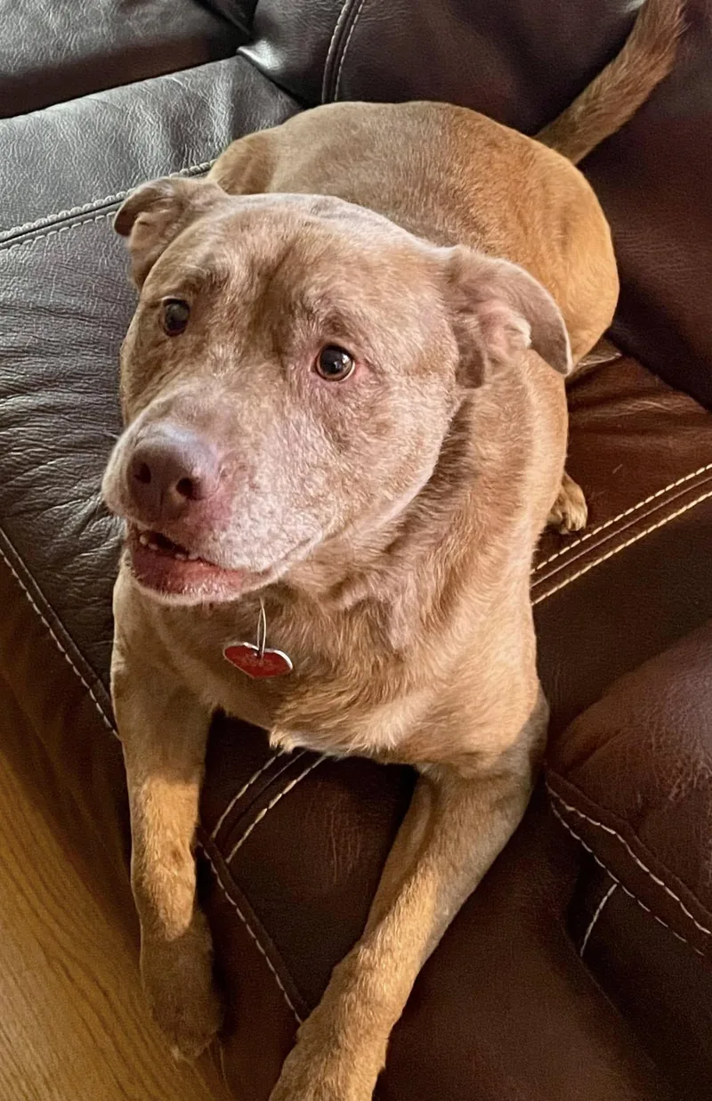 Willow  Ct thumbnail 5