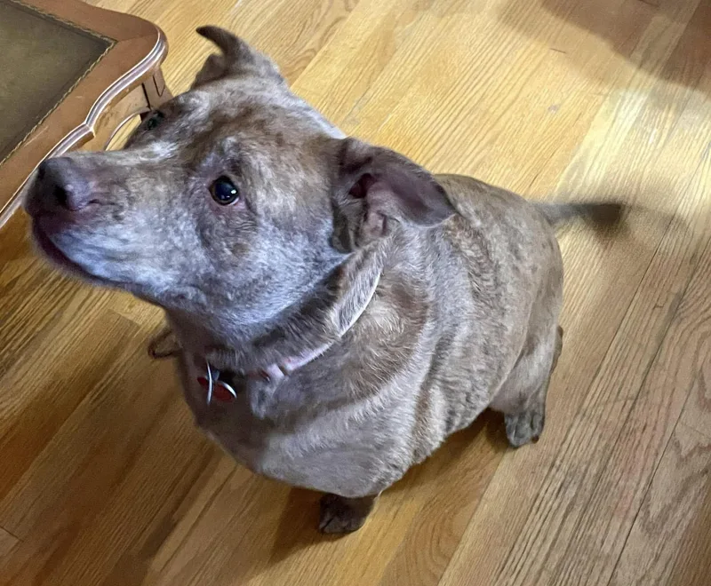 Willow  Ct thumbnail 6