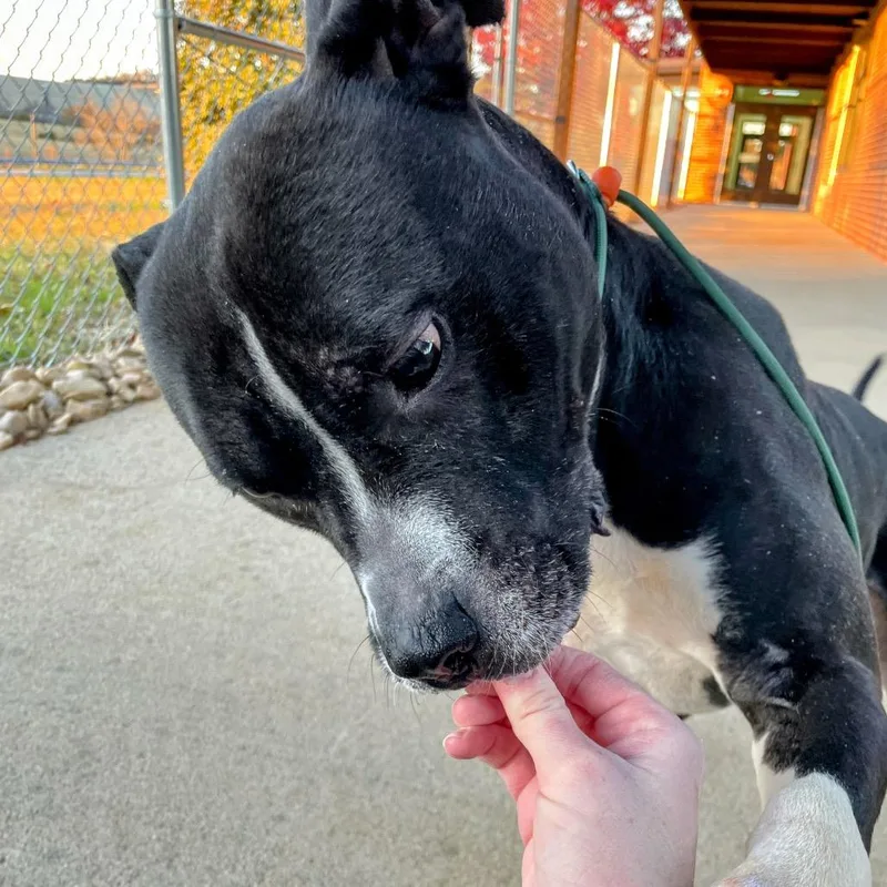 Sebastian thumbnail 2