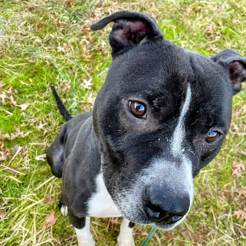 Sebastian thumbnail 5