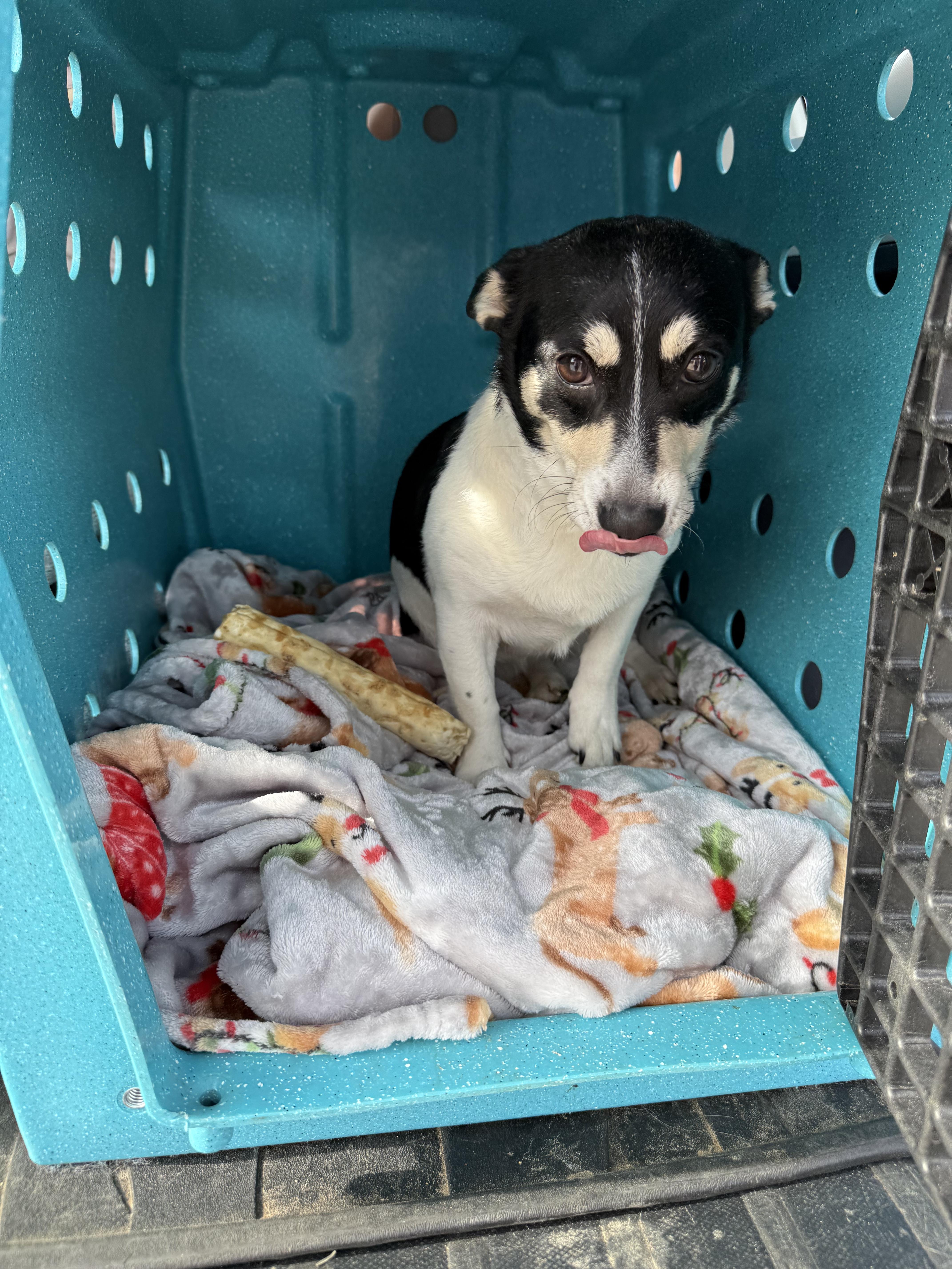 Nala Jean thumbnail 2