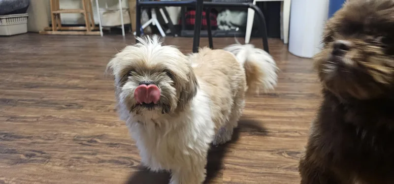 Maddie thumbnail 3