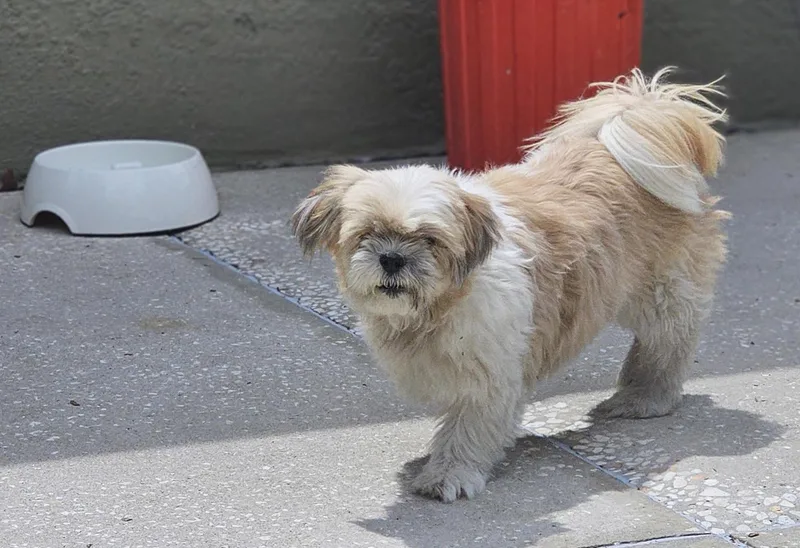 Maddie thumbnail 4