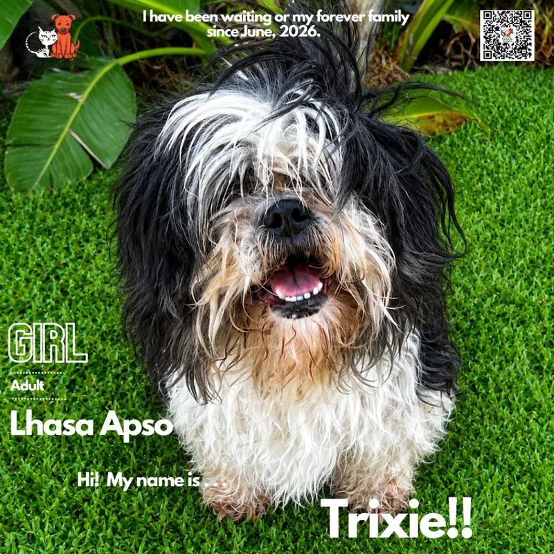 Trix thumbnail 2