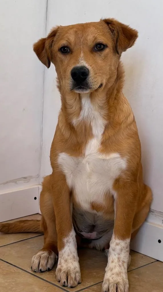 Ta'ameya thumbnail 2