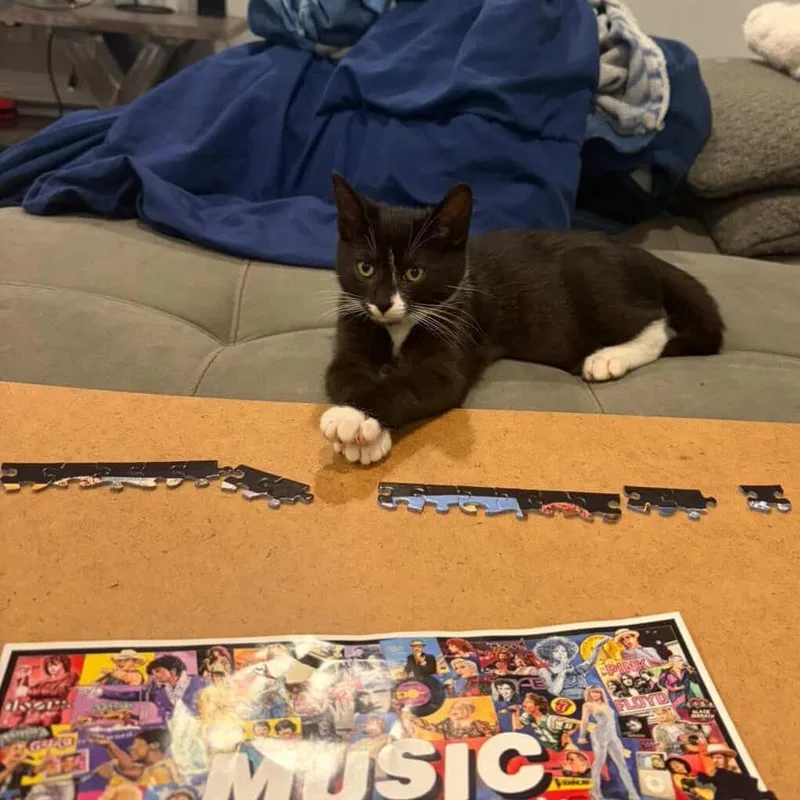 Gwenie thumbnail 3